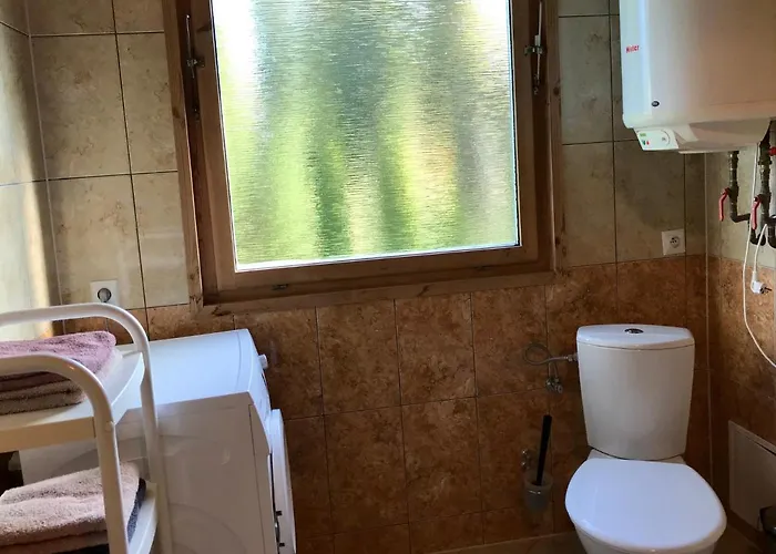 別荘 Domek Green Dzwirzyno ジビジノ